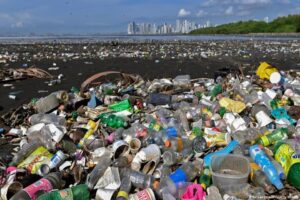 BM Çevre Asamblesi’nin Nairobi‘deki toplantısında plastik kirliliği ile mücadele edecek