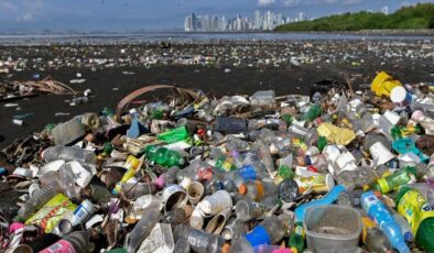 Plastik kirliliğiyle mücadelede önemli adım