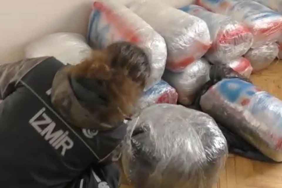 İZMİR'de, polisin narkotik köpekler 'Rota' ve 'Jiby' ile yaptığı operasyonda;