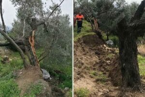 İzmir'deki Dokuz Eyl&uuml;l &Uuml;niversitesi'nin (DE&Uuml;) Deprem Araştırma ve Uygulama Merkezi