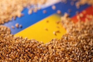 Rusya Savunma Bakanlığı, Ukrayna’dan tahıl çıkışını sağlayan anlaşmayı askıya aldığını