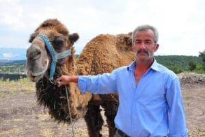 Manisa'da deve yetiştiren S&uuml;leyman Mertsoylu (49), Kurban Bayramı &ouml;ncesi Ege