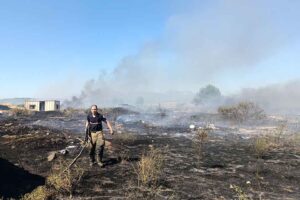 İZMİR'in Menderes il&ccedil;esinde, Kısık Sanayi Sitesi yakınındaki otluk alanda &ccedil;ıkan