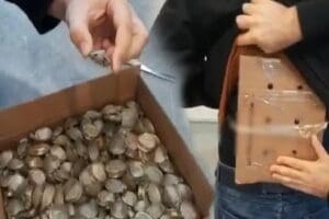 Ticaret Bakanlığı'na bağlı G&uuml;mr&uuml;k Muhafaza ekiplerince Sarp Sınır Kapısı'nda yapılan