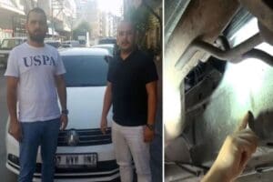 Antalya'da galerici Kemal Yetkin (30) ve Tunahan Şimşek (30), ekspertiz