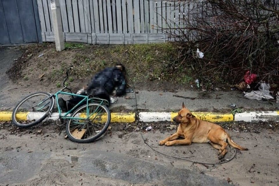 Rus askerleri tarafından &ouml;ld&uuml;r&uuml;ld&uuml;ğ&uuml; bildirilen Ukraynalı vatandaşın k&ouml;peğinin g&ouml;r&uuml;nt&uuml;s&uuml; sosyal