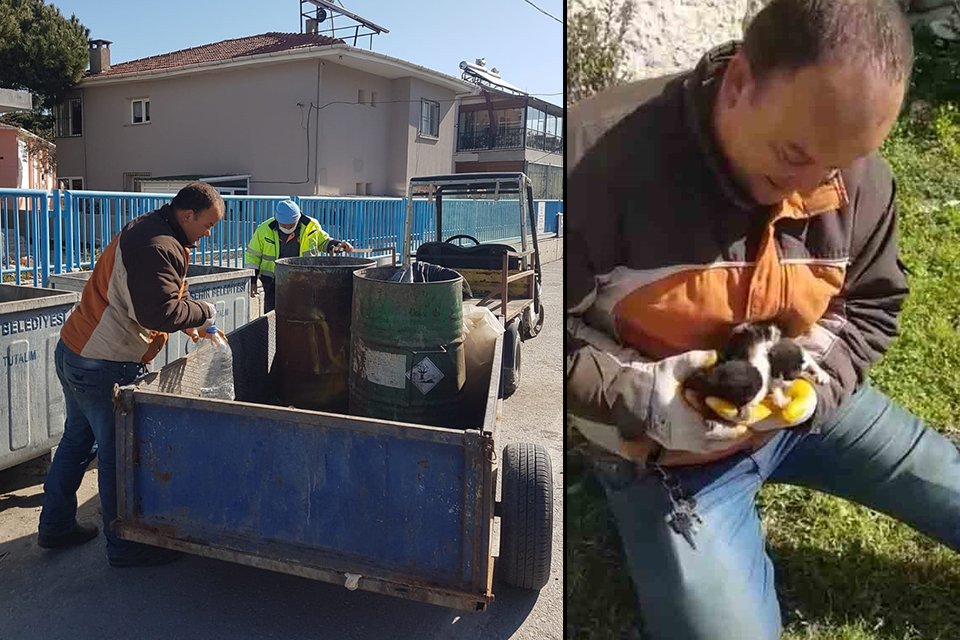 Seferihisar Belediyesi temizlik İşleri ekipleri sayesinde ağzı bağlanarak &ccedil;&ouml;p konteynerına