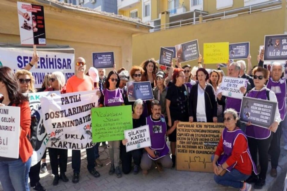 Seferihisar il&ccedil;esinde, 'Şila' isimli k&ouml;peğin kul&uuml;besine yanıcı madde d&ouml;k&uuml;p, yakılarak