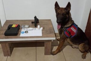 Denizli Pamukkale Üniversitesi Kale Meslek Yüksekokulu'nda hizmetli olarak görev yapan M.K.’nin