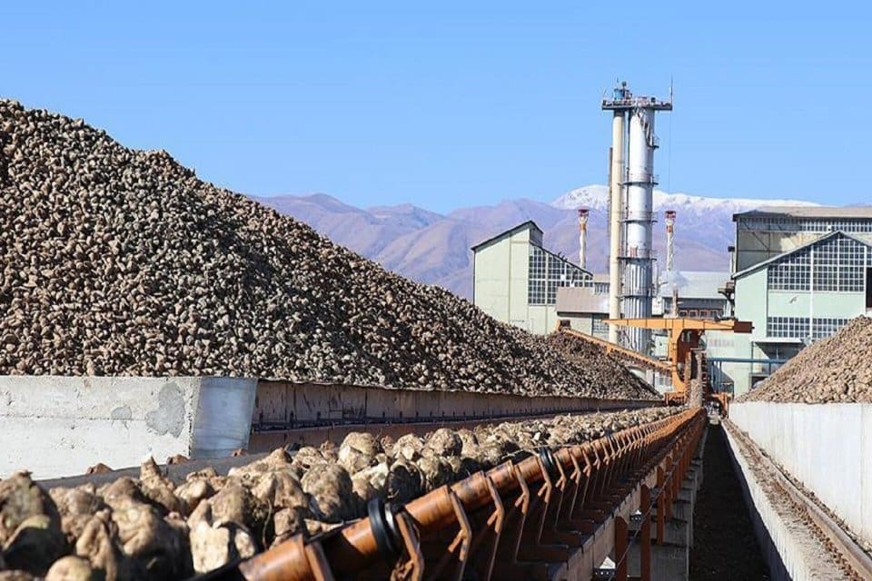 Şekerleme ve meyve suyu &uuml;reten fabrikalar, şeker bulamamaktan dolayı &uuml;retimi
