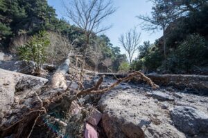 İzmir B&uuml;y&uuml;kşehir Belediyesi, selden etkilenen Bornova'daki Homeros Vadisi Rekreasyon Alanı&rsquo;nda