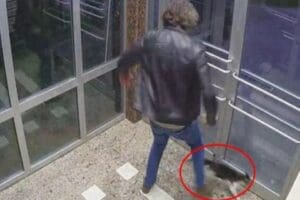 K&uuml;&ccedil;&uuml;k&ccedil;ekmece'de bir sitenin girişindeki kedilere tekme atarken g&ouml;r&uuml;nt&uuml;lenen Aytuğ Koyuncu