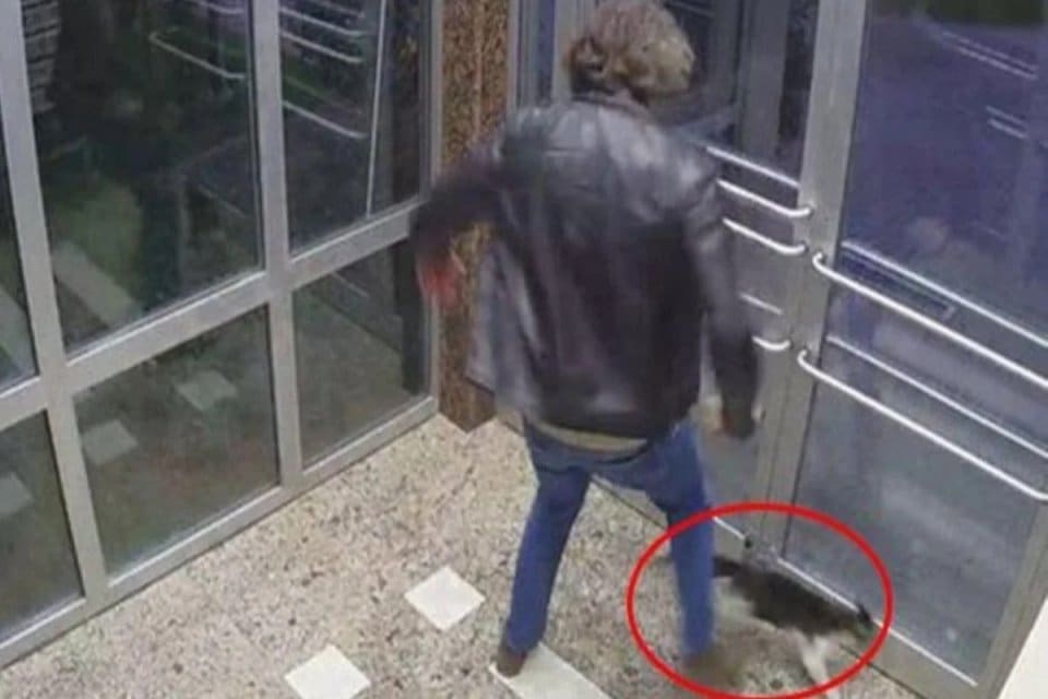 K&uuml;&ccedil;&uuml;k&ccedil;ekmece'de bir sitenin girişindeki kedilere tekme atarken g&ouml;r&uuml;nt&uuml;lenen Aytuğ Koyuncu