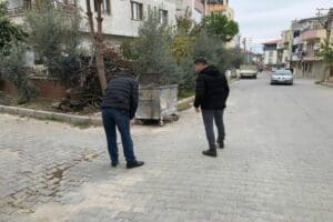 Manisa'nın Turgutlu il&ccedil;esinde, bacakları kesilmiş olarak peş peşe bulunan kedi