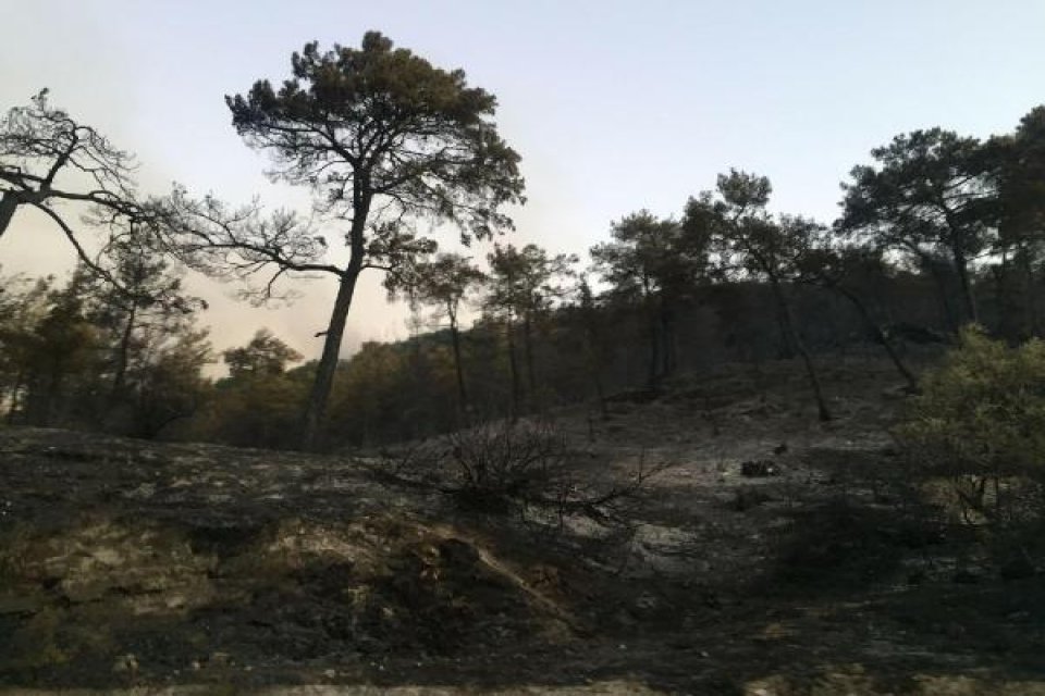 Muğla'nın Seydikemer il&ccedil;esinde d&uuml;nden bu yana devam eden orman yangını,