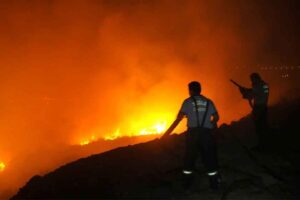 Muğla&rsquo;nın Milas il&ccedil;esinde bir otomobilden atıldığı iddia edilen sigara izmaritinin