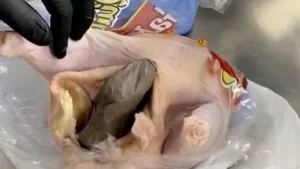 ABD'nin Florida eyaletinde havalimanında bir yolcunun bagajından &ccedil;ıkanlar sosyal medyada