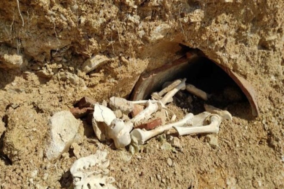 İstanbul Şile'de Ağva'ya iki kilometre mesafedeki k&ouml;yde &ccedil;ok sayıda kiremit