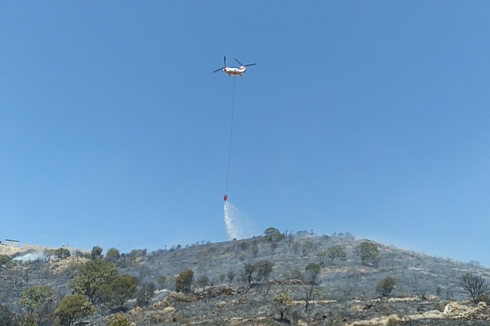MUĞLA'nın Bodrum il&ccedil;esinde, tarım arazisi ve makilikte &ccedil;ıkan yangın, ekiplerin