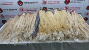 Ticaret Bakanlığı G&uuml;mr&uuml;k Muhafaza ekiplerince Sabiha G&ouml;k&ccedil;en Havalimanı'nda, Doha-İstanbul seferini