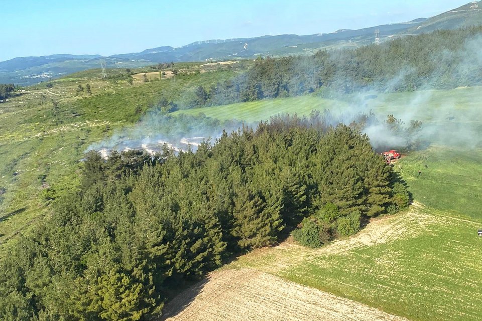 Manisa'nın Soma il&ccedil;esinde ormanda &ccedil;ıkan yangın, itfaiye ekiplerince b&uuml;y&uuml;meden s&ouml;nd&uuml;r&uuml;ld&uuml;.