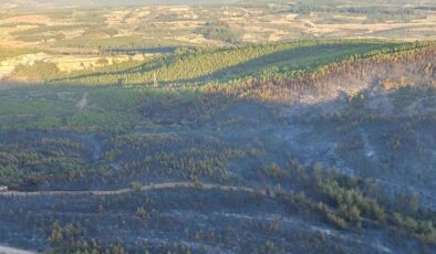 Soma'daki 16 saatlik orman yangınında 60 hektar alan zarar gördü