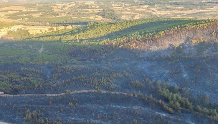 Soma'daki 16 saatlik orman yangınında 60 hektar alan zarar gördü