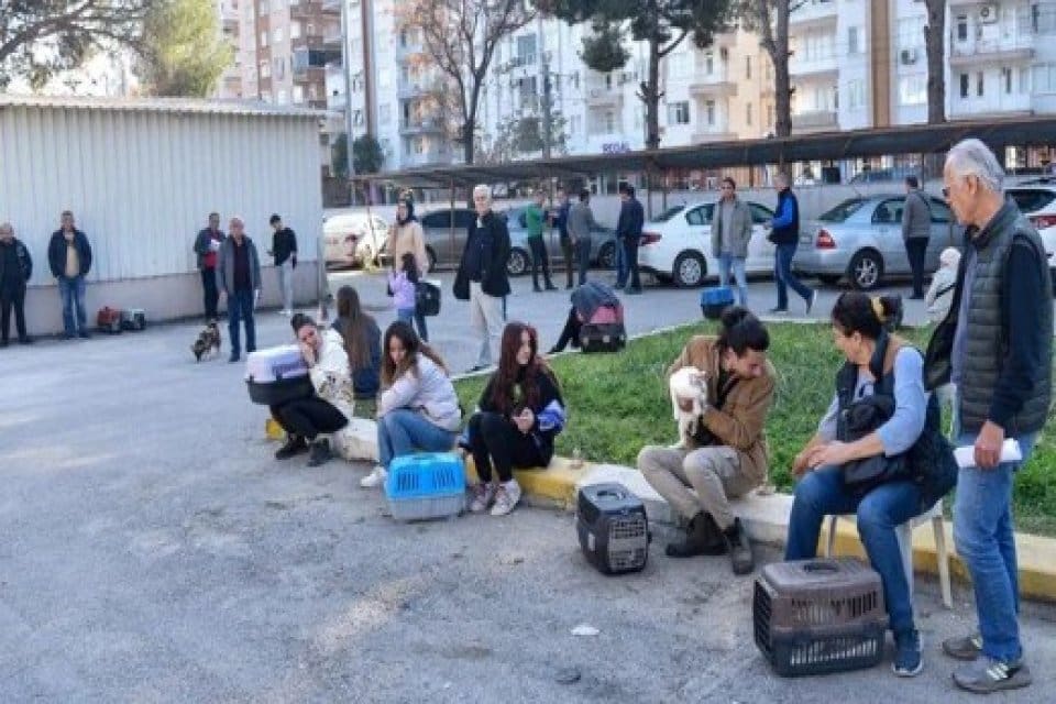 Tarım ve Orman Bakanlığı'nın dijital kimliklendirme projesi kapsamında 1 Ocak'a