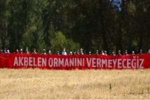 Muğla ve Antalya başta olmak &uuml;zere bir&ccedil;ok kentte &ccedil;ıkan yangınlarla