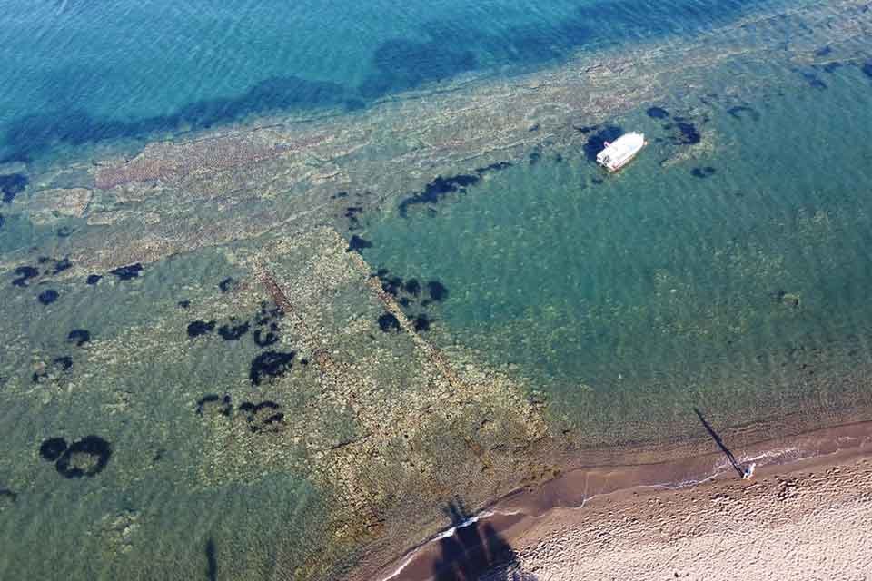 ABD'de bir m&uuml;zik şirketinde yazılımcı olarak &ccedil;alışan bilgisayar m&uuml;hendisi Denem