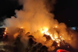 Muğla'nın Milas il&ccedil;esinde tarım ve hayvancılık tesisinde &ccedil;ıkan yangın, itfaiye