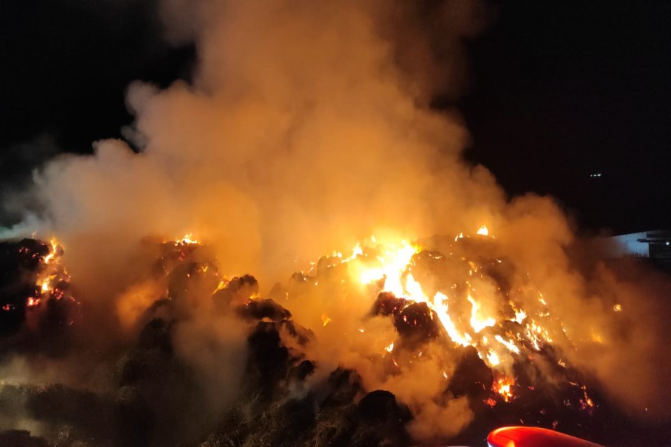 Muğla'nın Milas il&ccedil;esinde tarım ve hayvancılık tesisinde &ccedil;ıkan yangın, itfaiye
