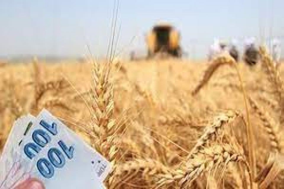 Tarım ve Orman Bakanı Bekir Pakdemirli, 420 milyon 412 bin