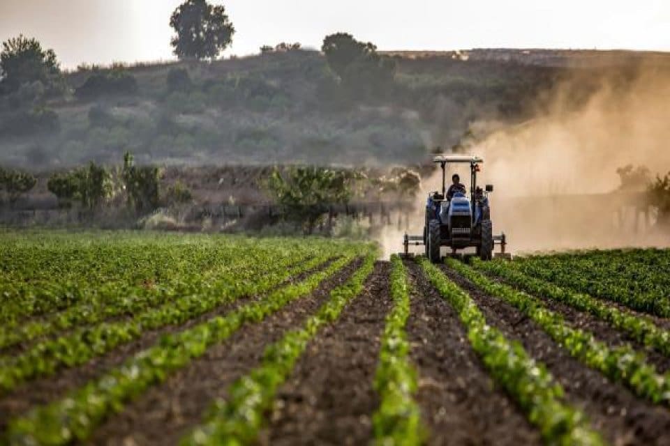 Tarım ve Orman Bakanı Kirişci, 833,6 milyon liralık tarımsal destekleme