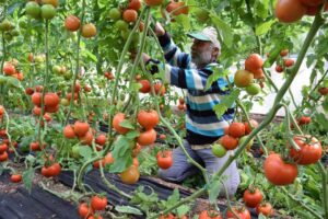 Gıda fiyatlarındaki artış g&uuml;ndeme geldiğinde t&uuml;keticinin en &ccedil;ok konuştuğu &uuml;r&uuml;nlerden