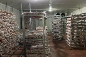 Manisa'nın Salihli il&ccedil;esinde&nbsp;bir kokore&ccedil; imalathanesinde kaydedildiği iddia edilen ve hijyen