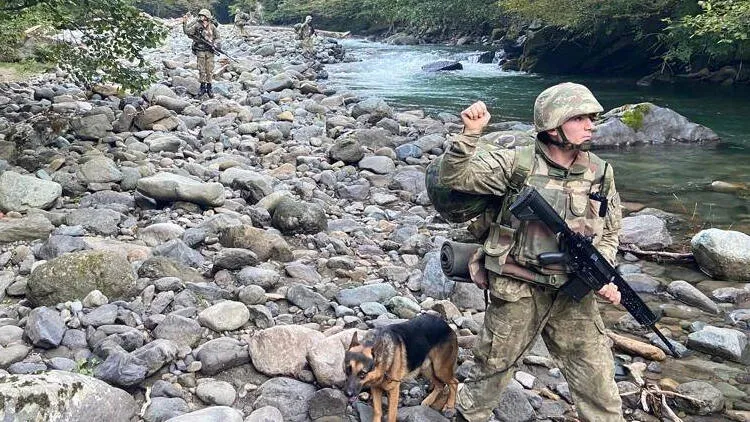 Hain terör örgütü PKK’ya darbe üstüne darbe vurulmaya devam ediyor.