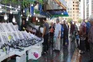 Rize'de balık tezgahları palamut ile doldu. Tanesi 50 ile 70