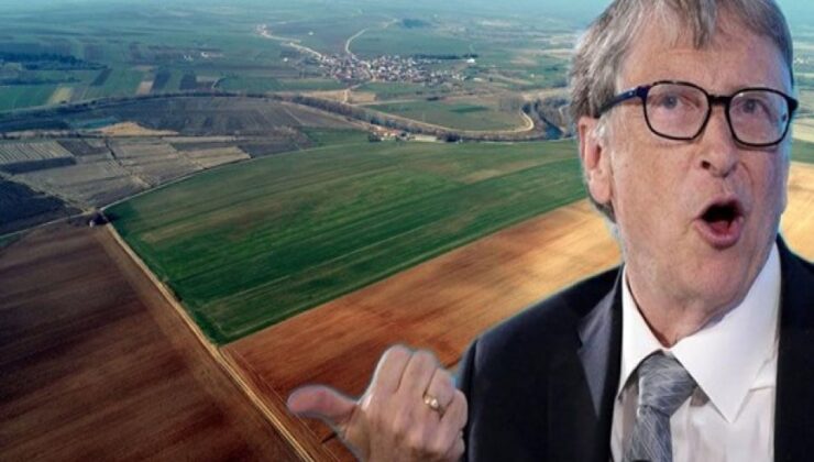 Trakya'da arazi fırsatçılığı: 'Bill Gates'e komşu olacaksınız'