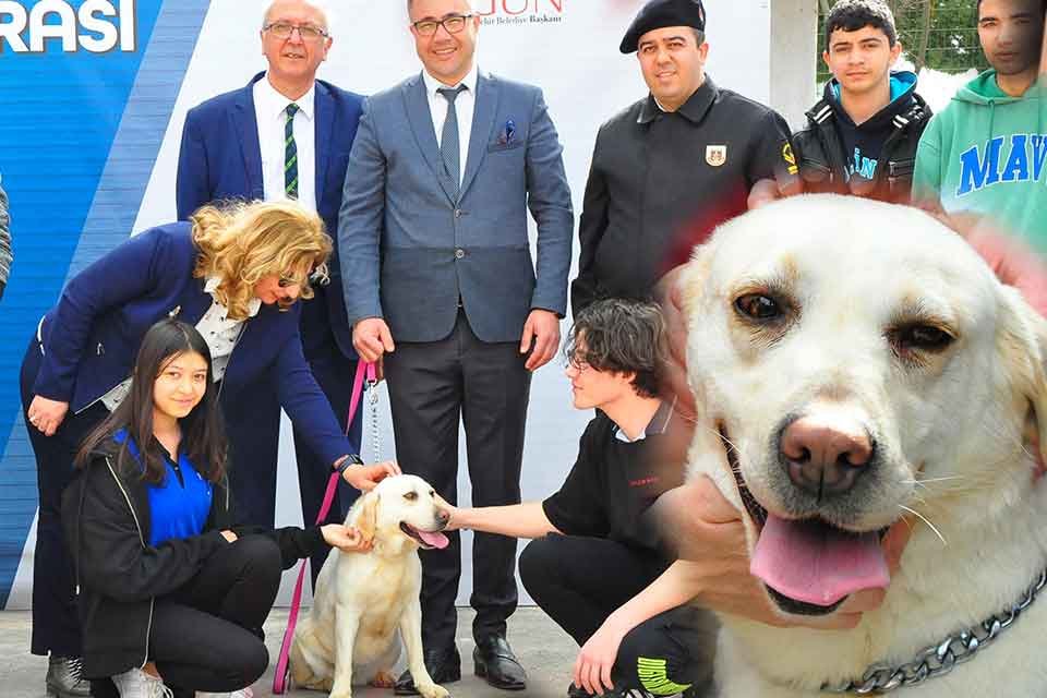 TÜRK Silahlı Kuvvetleri'nde (TSK) bomba arama köpeği olarak görev alan