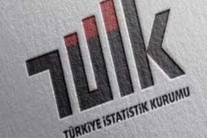 T&uuml;rkiye İstatistik Kurumu&rsquo;nda (T&Uuml;İK) a&ccedil;ık olan başkan yardımcılığına Fatih Şahin