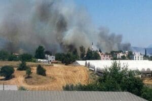 Antalya'nın Serik il&ccedil;esinde ormanlık alanda 3 ayrı noktada aynı anlarda