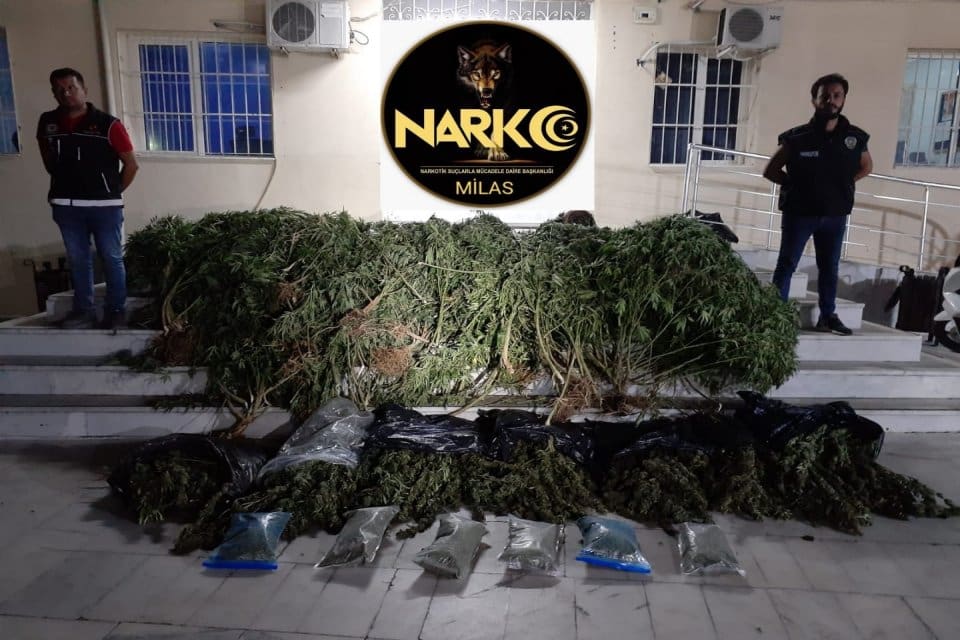 Muğla'nın Milas il&ccedil;esinde, polisin d&uuml;zenlediği operasyonda, 46 kilo kubar esrar