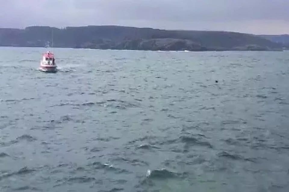 İğneada a&ccedil;ıklarındaki olayda &ouml;len ya da yaralanan olmadı. Olayda can