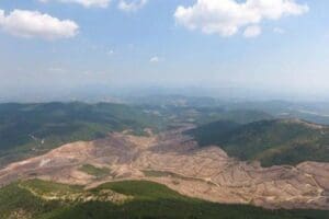 Tarım ve Orman Bakanı Bekir Pakdemirli, &Ccedil;anakkale'nin Bayrami&ccedil;i il&ccedil;esinde, Kanadalı