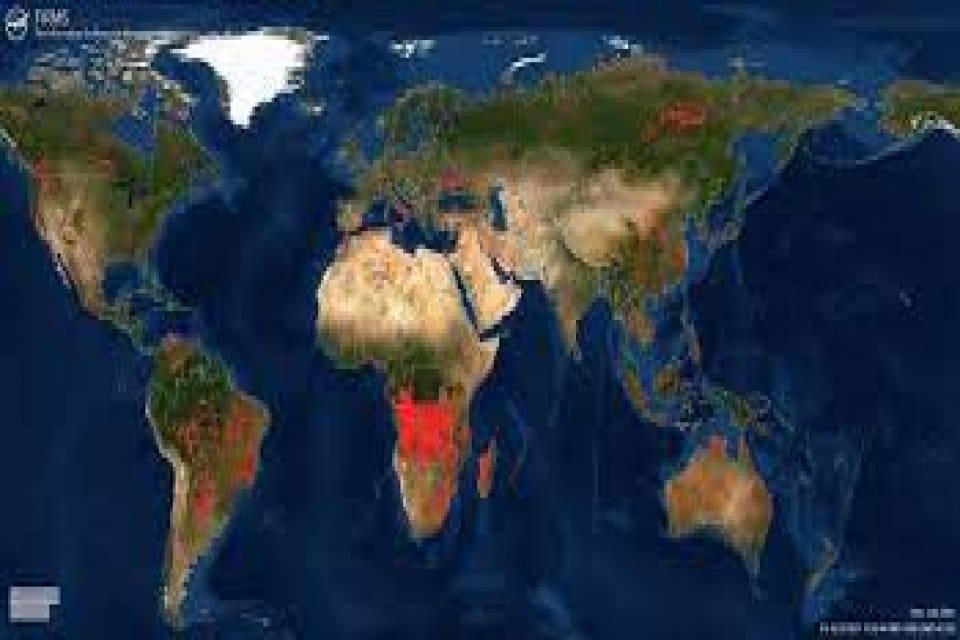 Amerikan Uzay ve Havacılık Dairesi (NASA), d&uuml;nyada ortaya &ccedil;ıkan orman