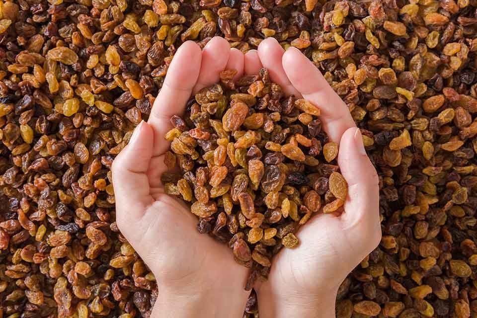 Kuru &uuml;z&uuml;m &uuml;retiminde ve ihracatında a&ccedil;ık ara d&uuml;nya lideri olan