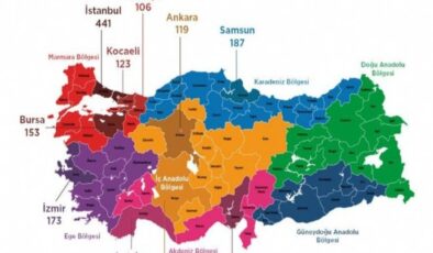 Türkiye'nin şiddet haritası: İzmir'de kaç kişi öldürüldü?