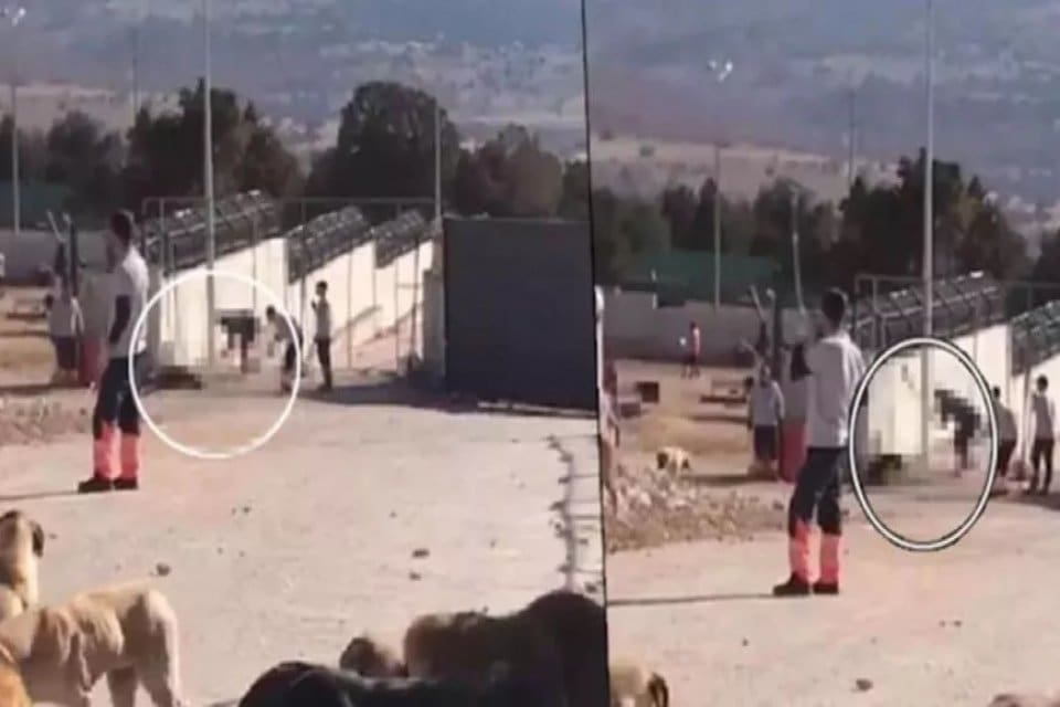 Konya B&uuml;y&uuml;kşehir Belediyesi'ne ait Hayvan Rehabilitasyon Merkezi'nde k&ouml;peğin k&uuml;rekle &ouml;ld&uuml;r&uuml;lmesine