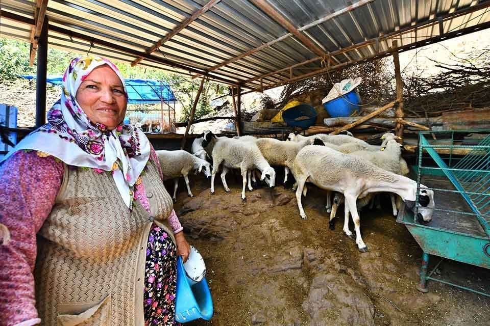 İzmir B&uuml;y&uuml;kşehir Belediyesi&rsquo;nin tarımsal destekleri k&ouml;yl&uuml;n&uuml;n k&ouml;y&uuml;nde kalmasını sağlıyor. B&uuml;y&uuml;kşehir